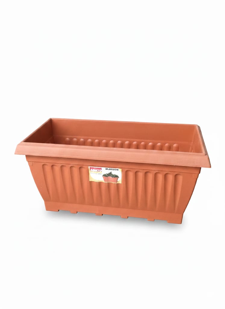 eCommerce Template